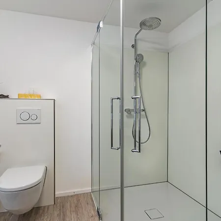 Schaetzle Apartament Schuttertal