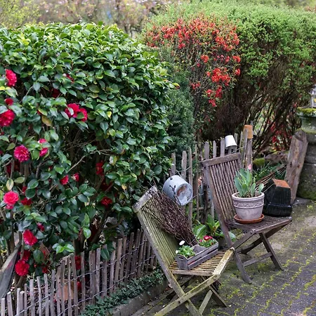 Apartament Schaetzle Schuttertal