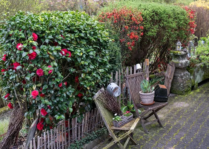 Apartamento Schaetzle Schuttertal